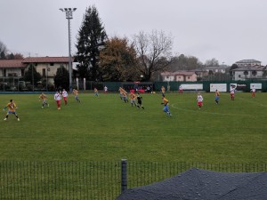 cantello belfortese-bosto