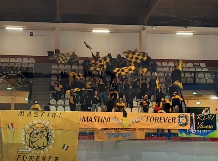 mastini-forever