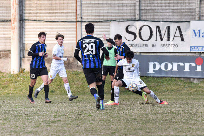 verbano solbiatese 1