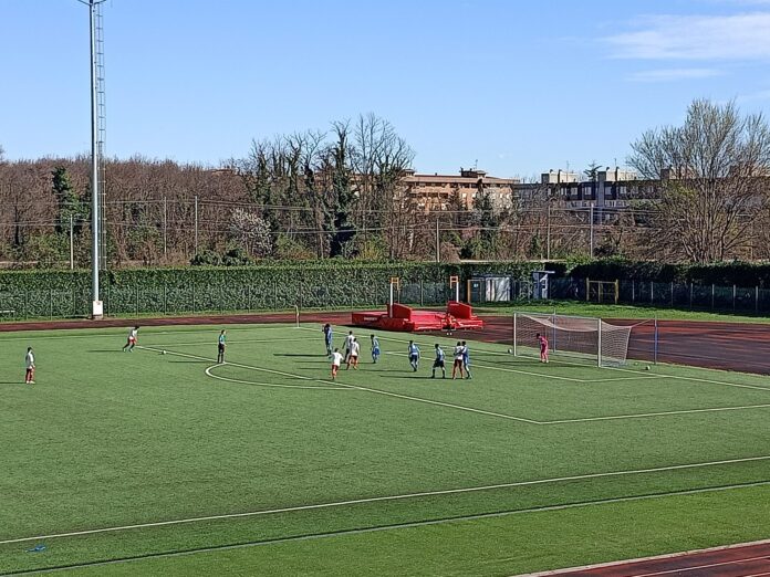 Varese-arconatese